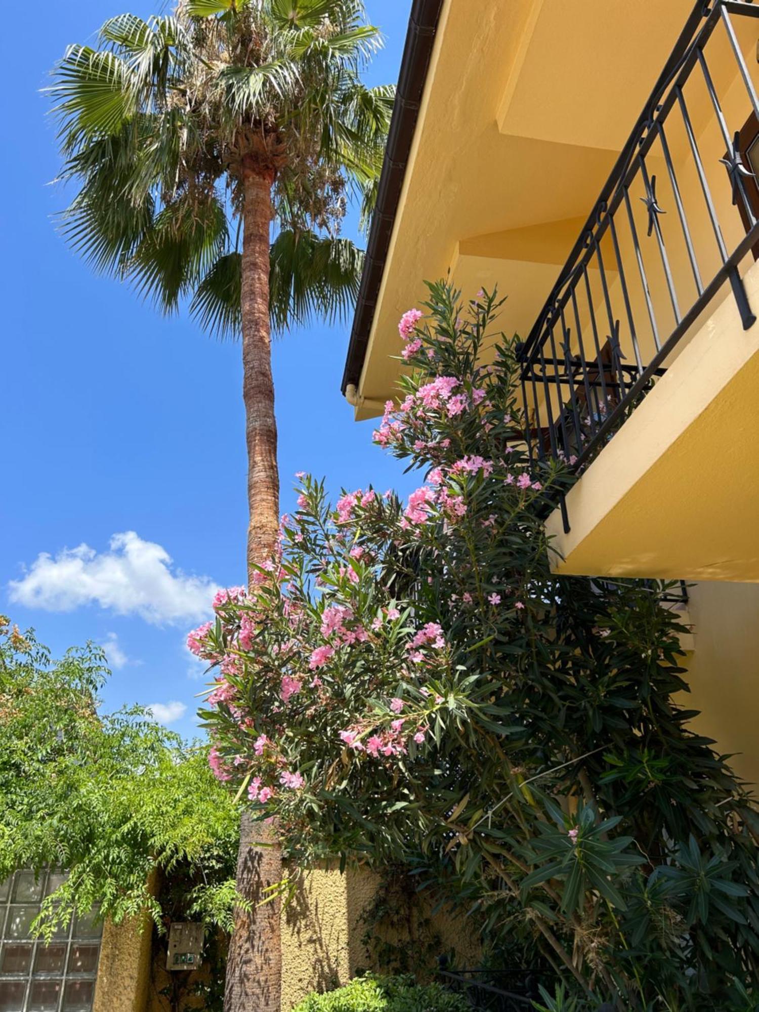 Villa Danlin Hotel Göcek Exterior foto